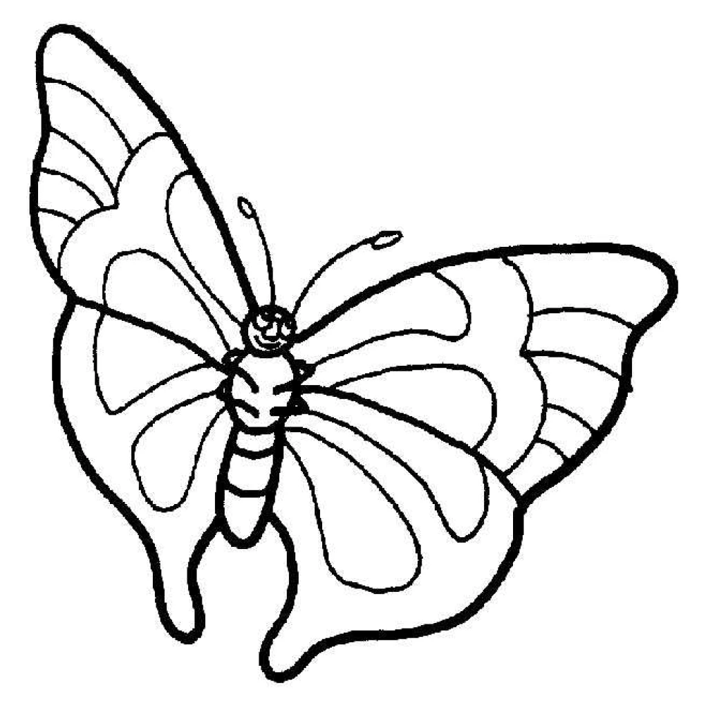Desenho de Borboleta para colorir e imprimir grátis