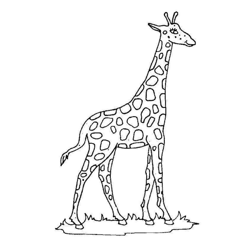Giraffe coloring page to print for free