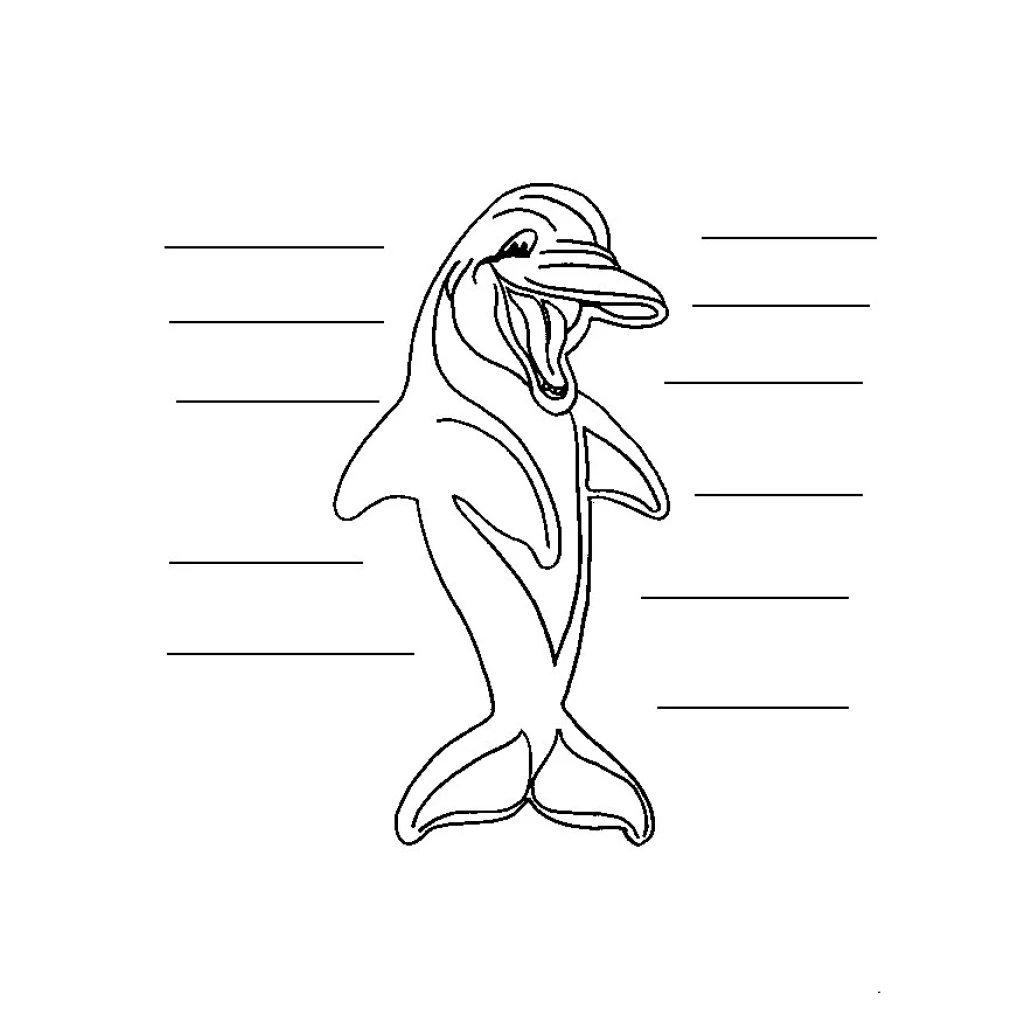 Dibujo de Delfín Feliz para colorear e imprimir gratis