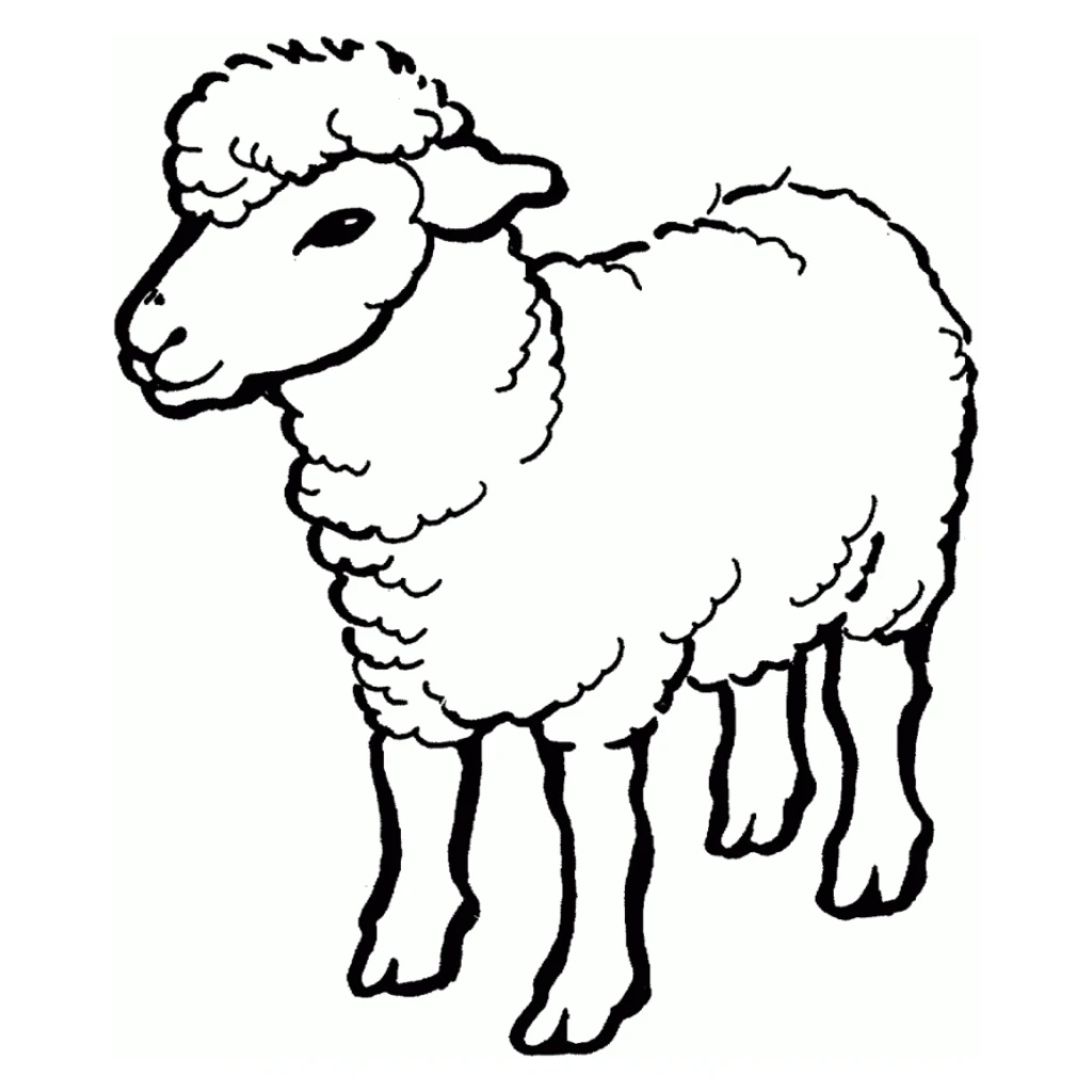 Sheep coloring page to print for free