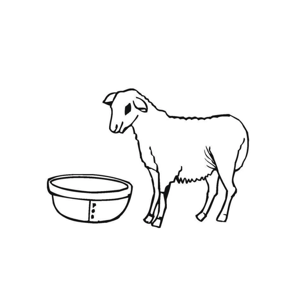 Sheep coloring page to print for free