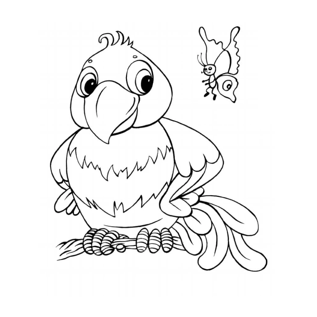 Parrot coloring page to print for free
