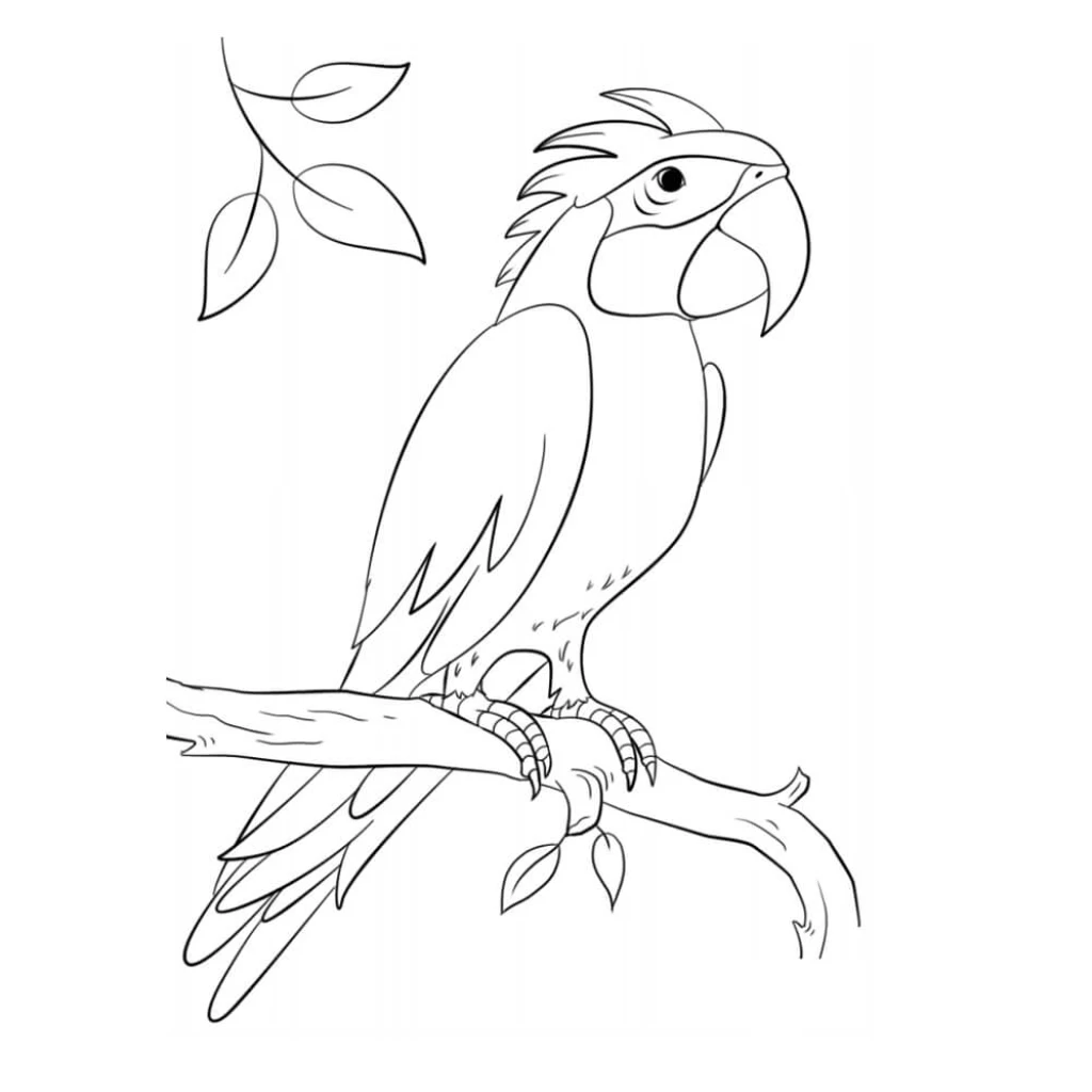 Parrot coloring page to print for free