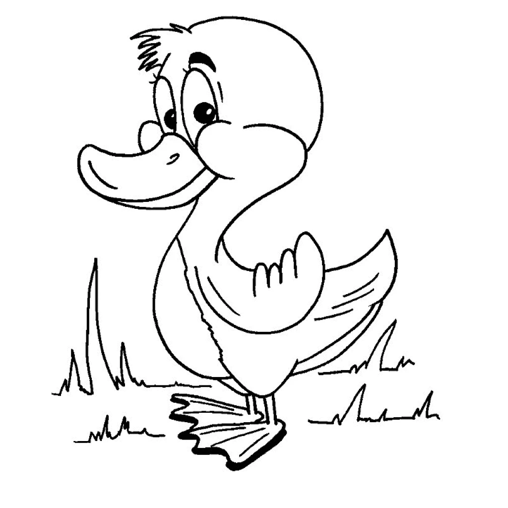 Dibujo de Pato para colorear e imprimir gratis