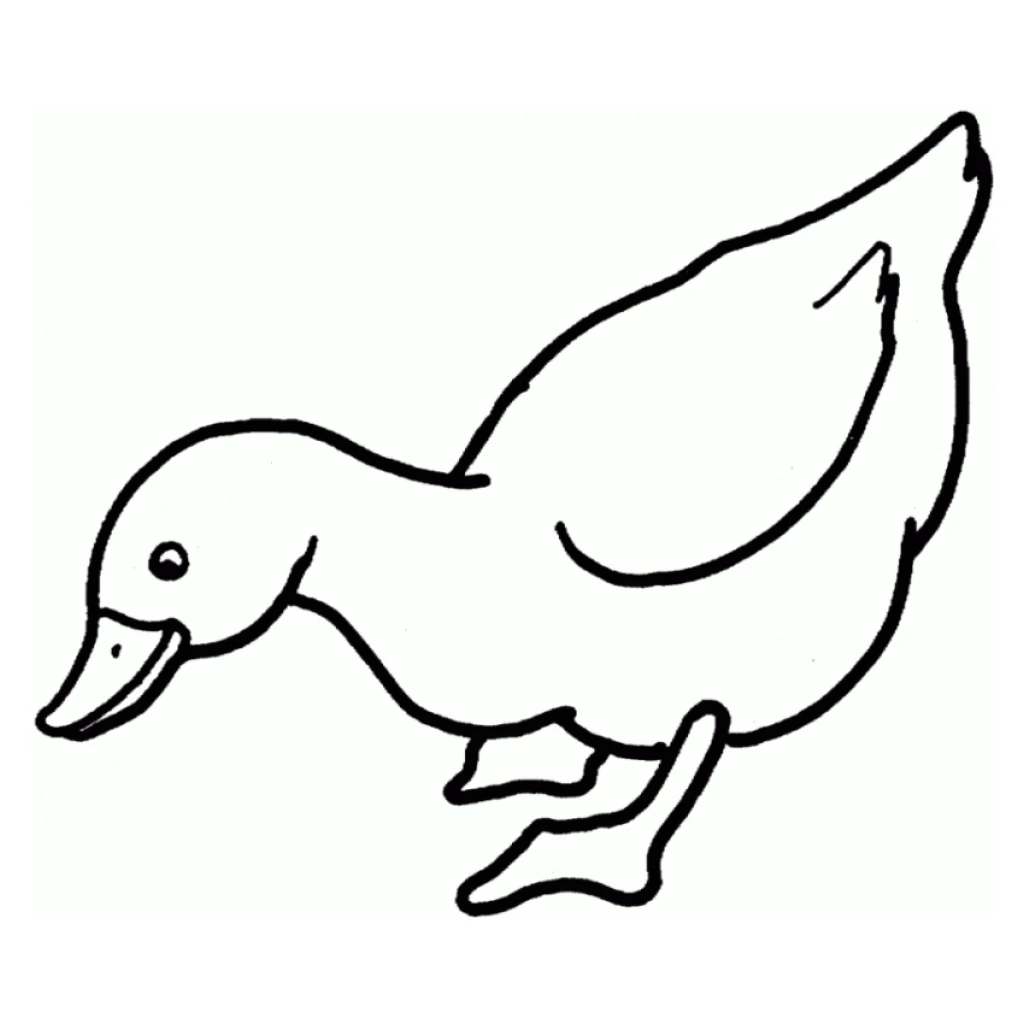 Dibujo de Patitos para colorear e imprimir gratis
