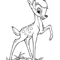 Cervo Bambi