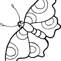 Borboleta