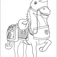 Cavalo com cela para montaria