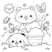 Gato Em Um Dia Ensolarado