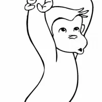 Macaco Divertido