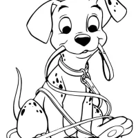 Cachorro Dálmata