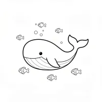 Baleia E Peixes