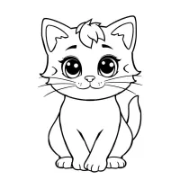 Gato Fofo
