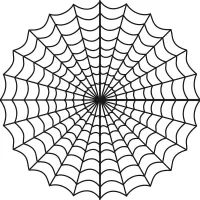 Teia De Aranha